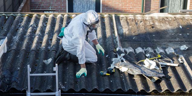 asbestos removal costs